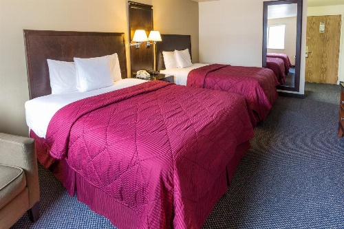 Cedars Inn image 1