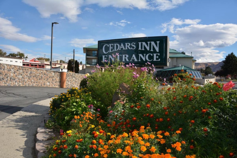 Cedars Inn Image 43